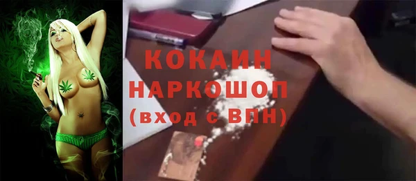 стаф Сясьстрой