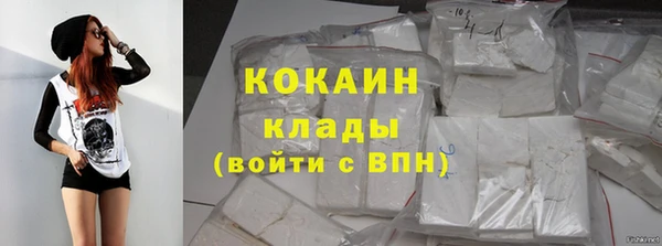 стаф Сясьстрой
