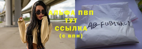стаф Сясьстрой