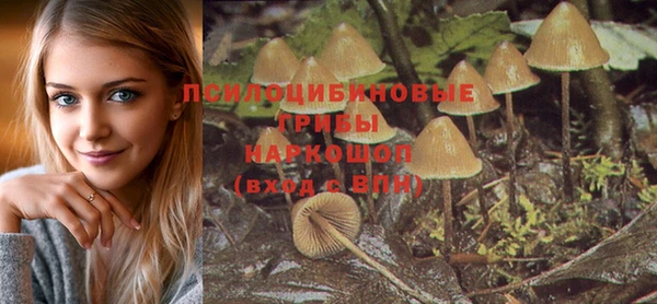 мдпв Тавда