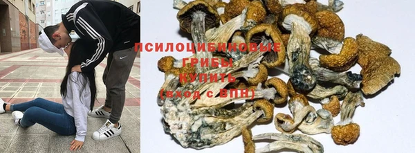 mix Тайга