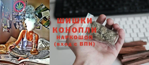 мдпв Тавда