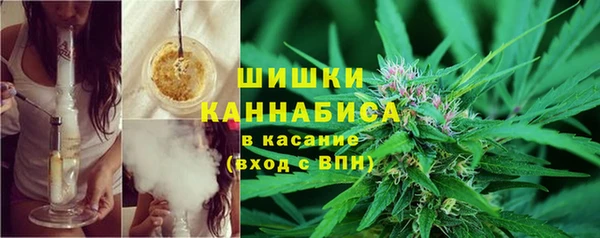 мдпв Тавда