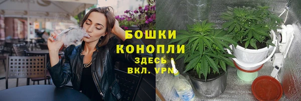 мдпв Тавда
