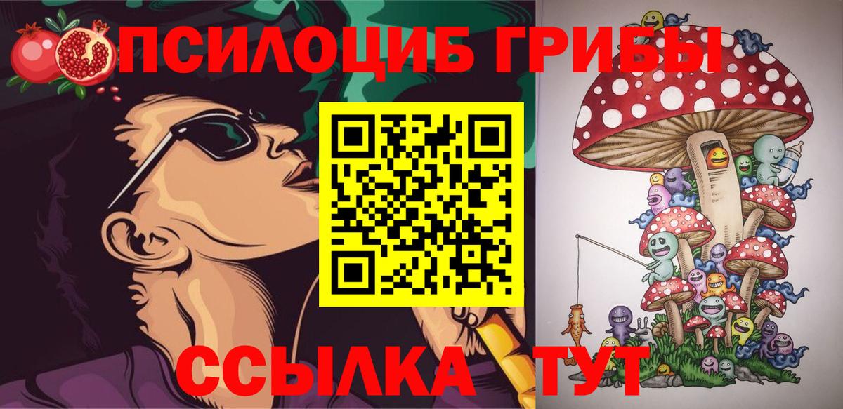 Галлюциногенные грибы Psilocybine cubensis Долгопрудный