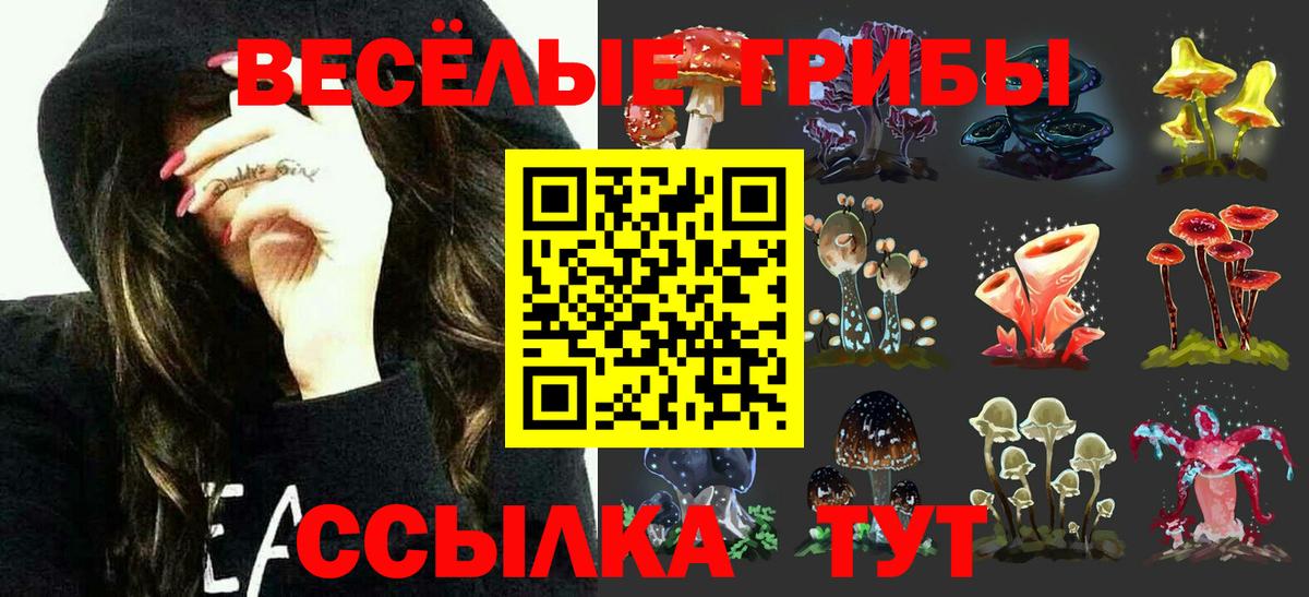 Галлюциногенные грибы мицелий  Вход с VPN  Псилоцибиновые грибы мухоморы  Долгопрудный 